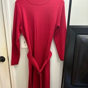 Ann Taylor Women's Red Sweater